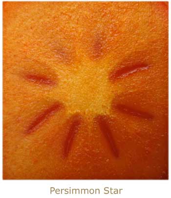 Persimmon Star