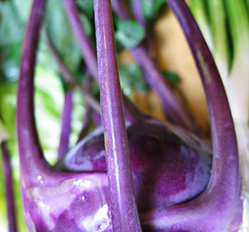 Kohlrabi