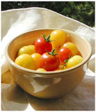Sun Drenched Tomatoes 1